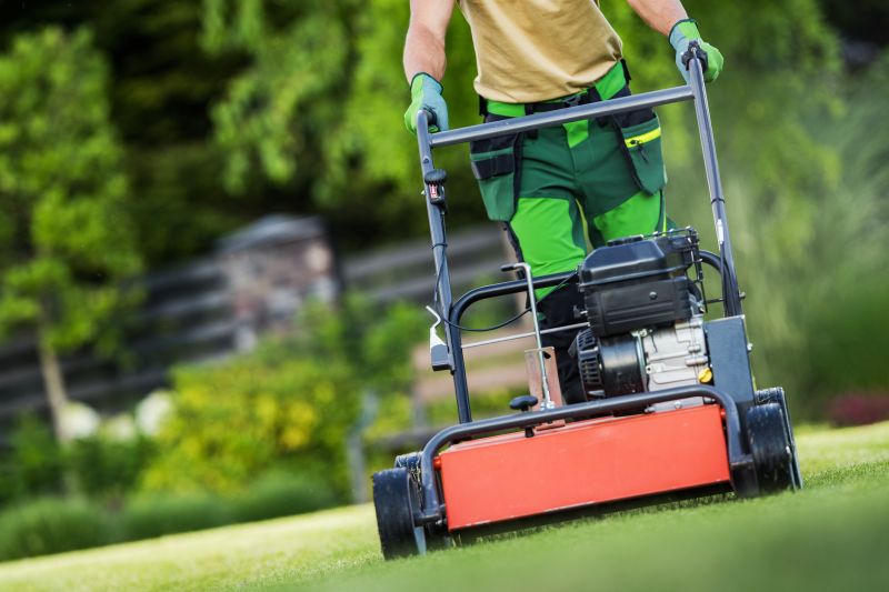 Lawn Aeration